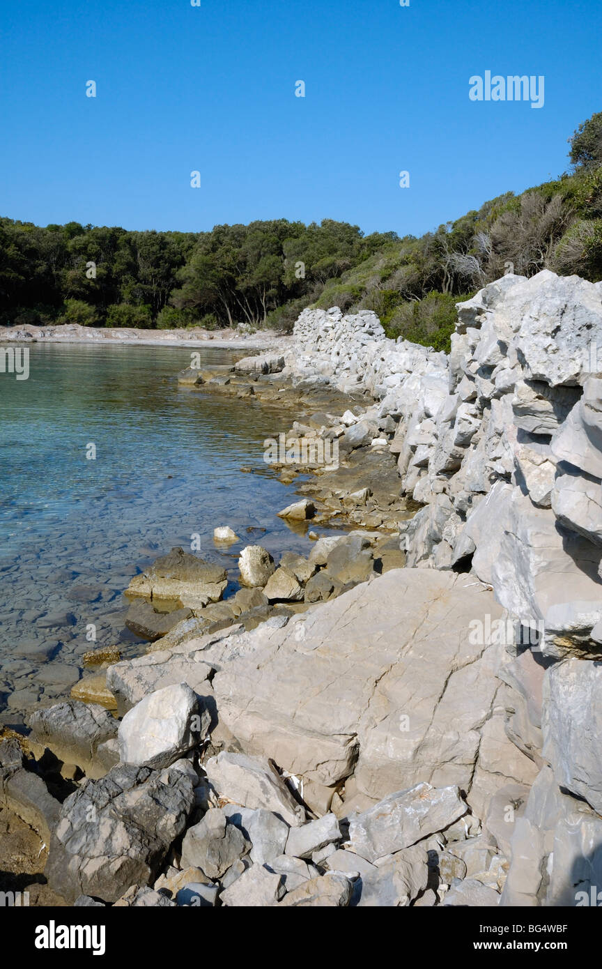 Isla Cres, Bahía Meli (Uvala, Meli), Croacia, la encina (Quercus ilex) bosque y drystone pared sobre la orilla Foto de stock