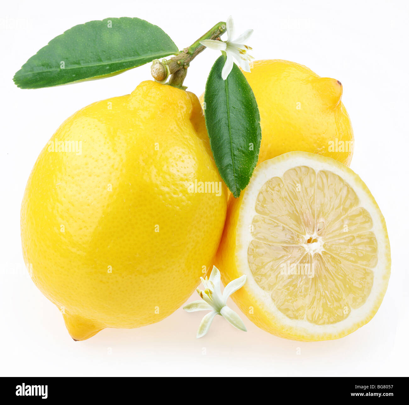 Limón con sección sobre un fondo blanco. Foto de stock