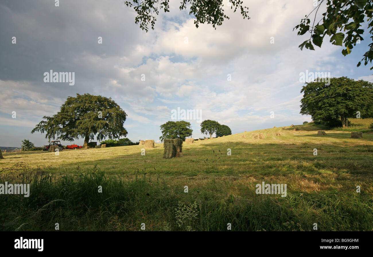 Un campo en un día de verano inglés con fardos de heno Foto de stock