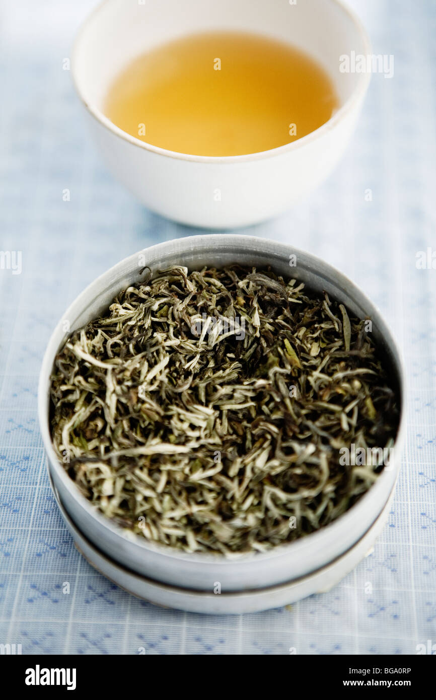 Puntas de plata imperial es la marca de té más caro en Makaibari, finca de té Darjeeling, India Foto de stock