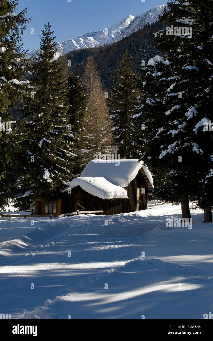 Europa, Italia, Alpi, el Alto Adige, dolomitas, hut, Nieve, bosque Foto de stock