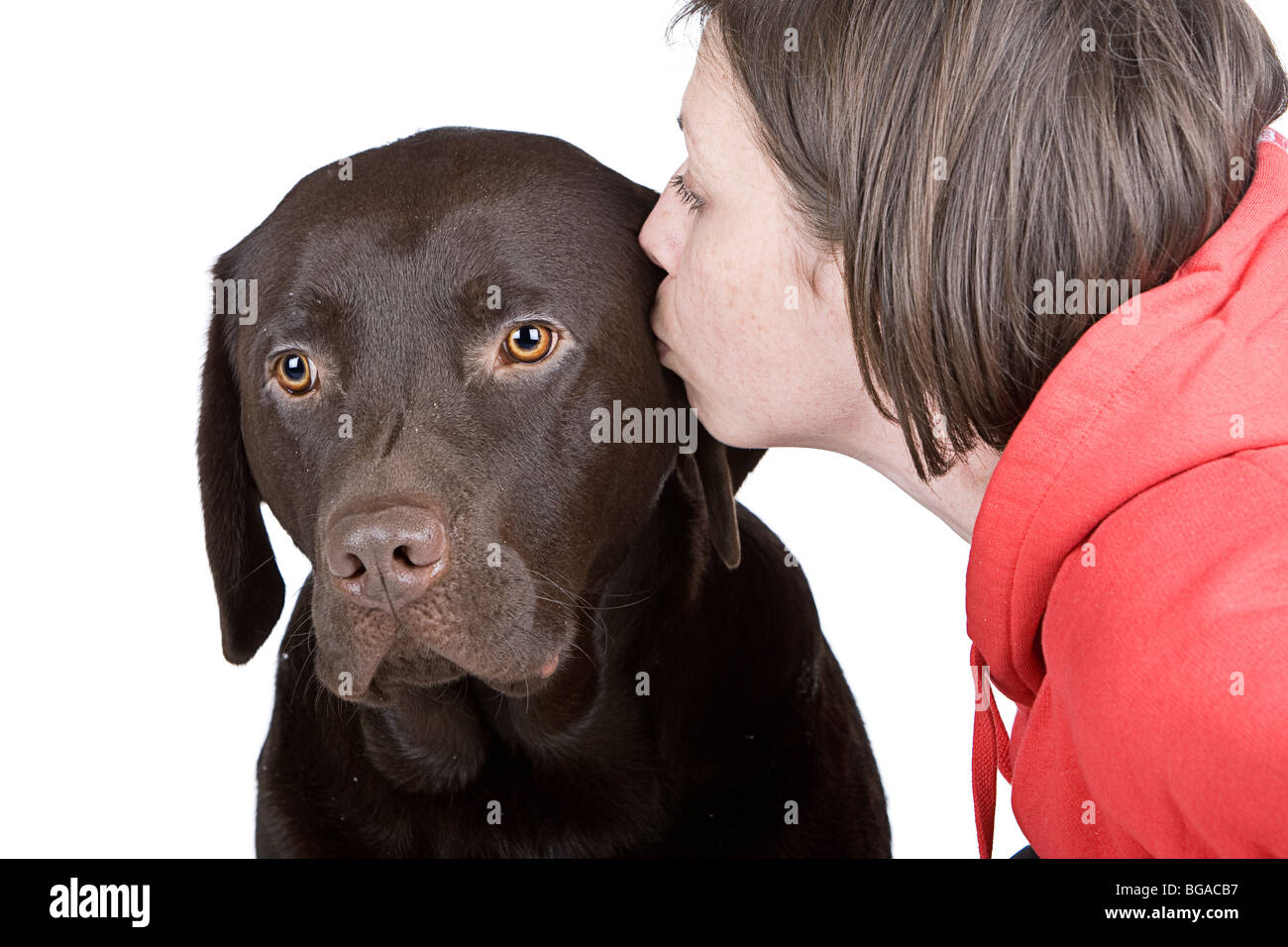 Disparo de un 30S Hembra besando a su mascota Labrador Chocolate Foto de stock