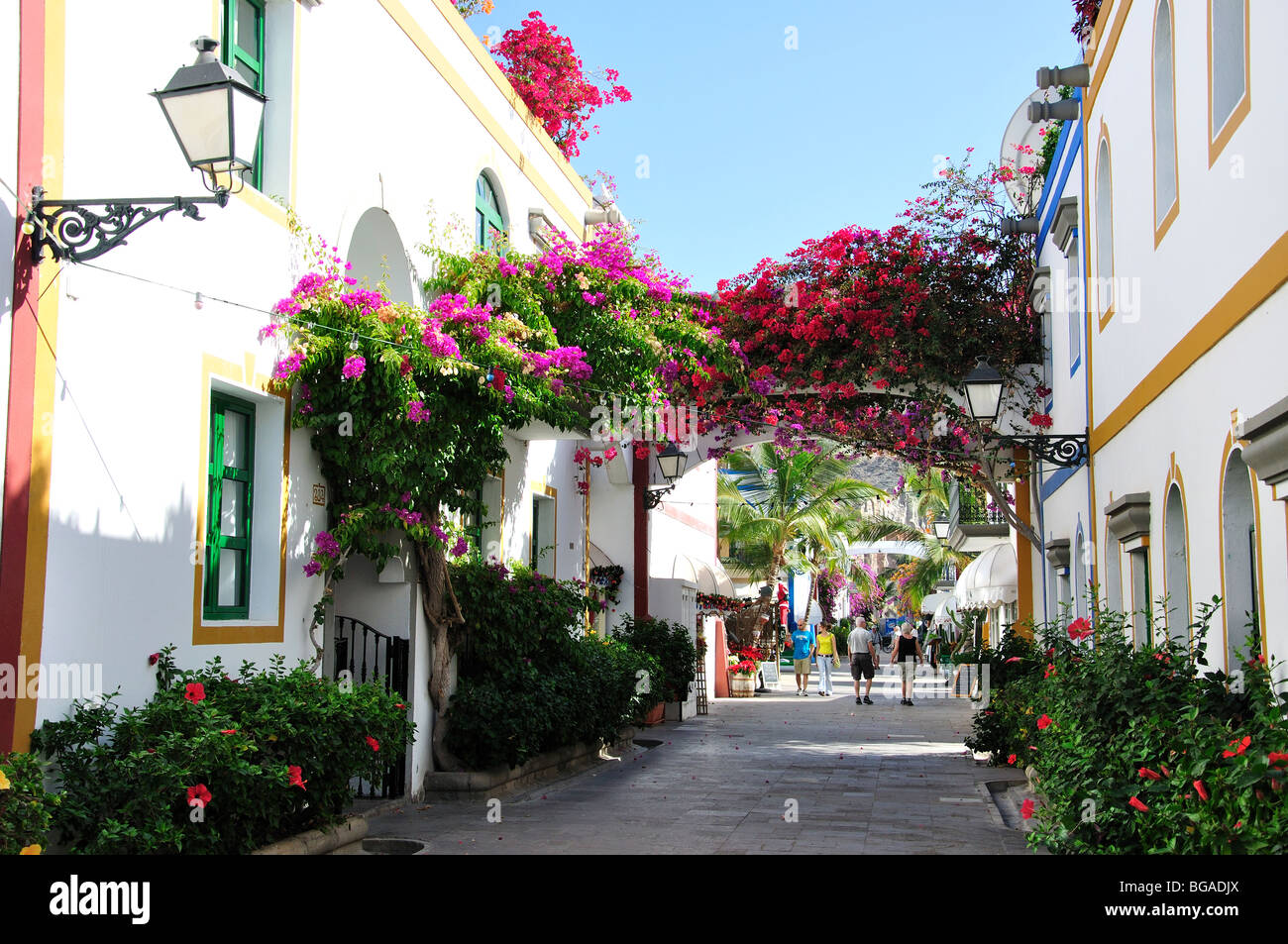 Calle con buganvillas coloridas flores, Puerto de Mogan, municipio de  Mogán, Gran Canaria, Islas Canarias, España Fotografía de stock - Alamy