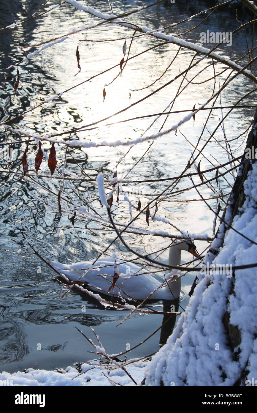 Swan Lake sobre hielo, Crystal Palace Park Foto de stock