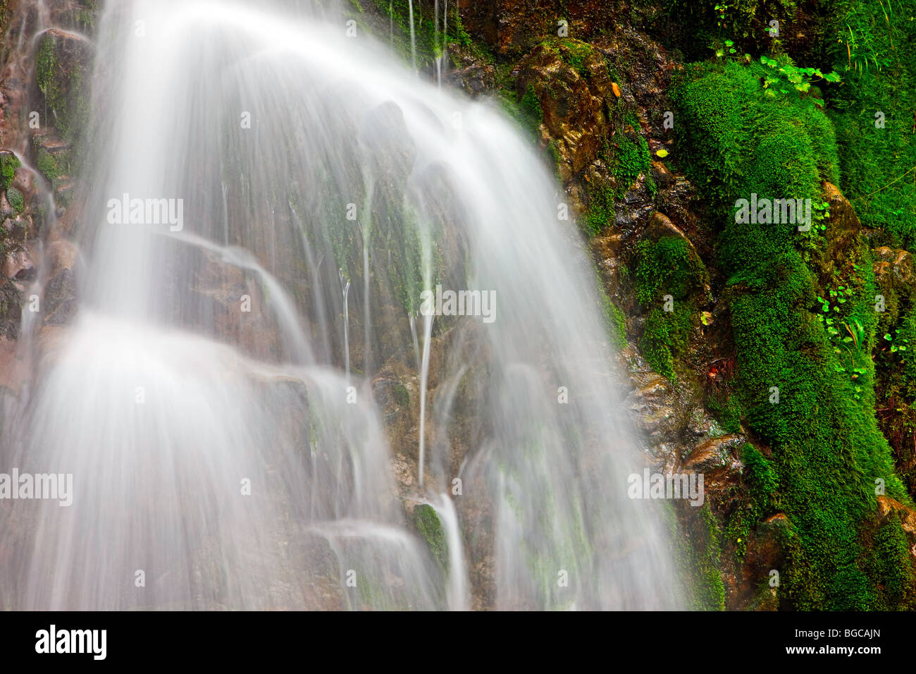 Cascada en la selva cerca del puerto de Alice, en el norte de la isla de Vancouver, la isla de Vancouver, British Columbia, Canadá. Foto de stock