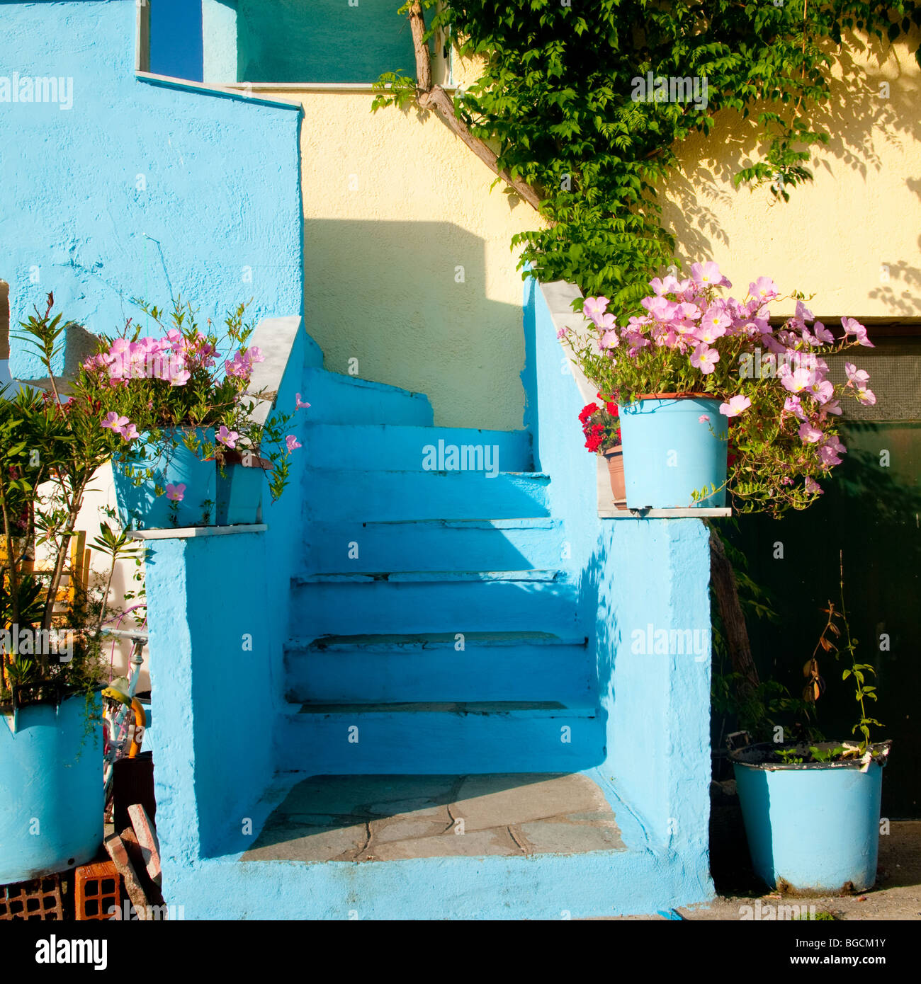 cáustico alabanza ansiedad Macetas pintadas de azul, con flores de color rosa guardia un conjunto de  escalones de piedra pintada de azul que conduce hacia arriba a una casa  Fotografía de stock - Alamy