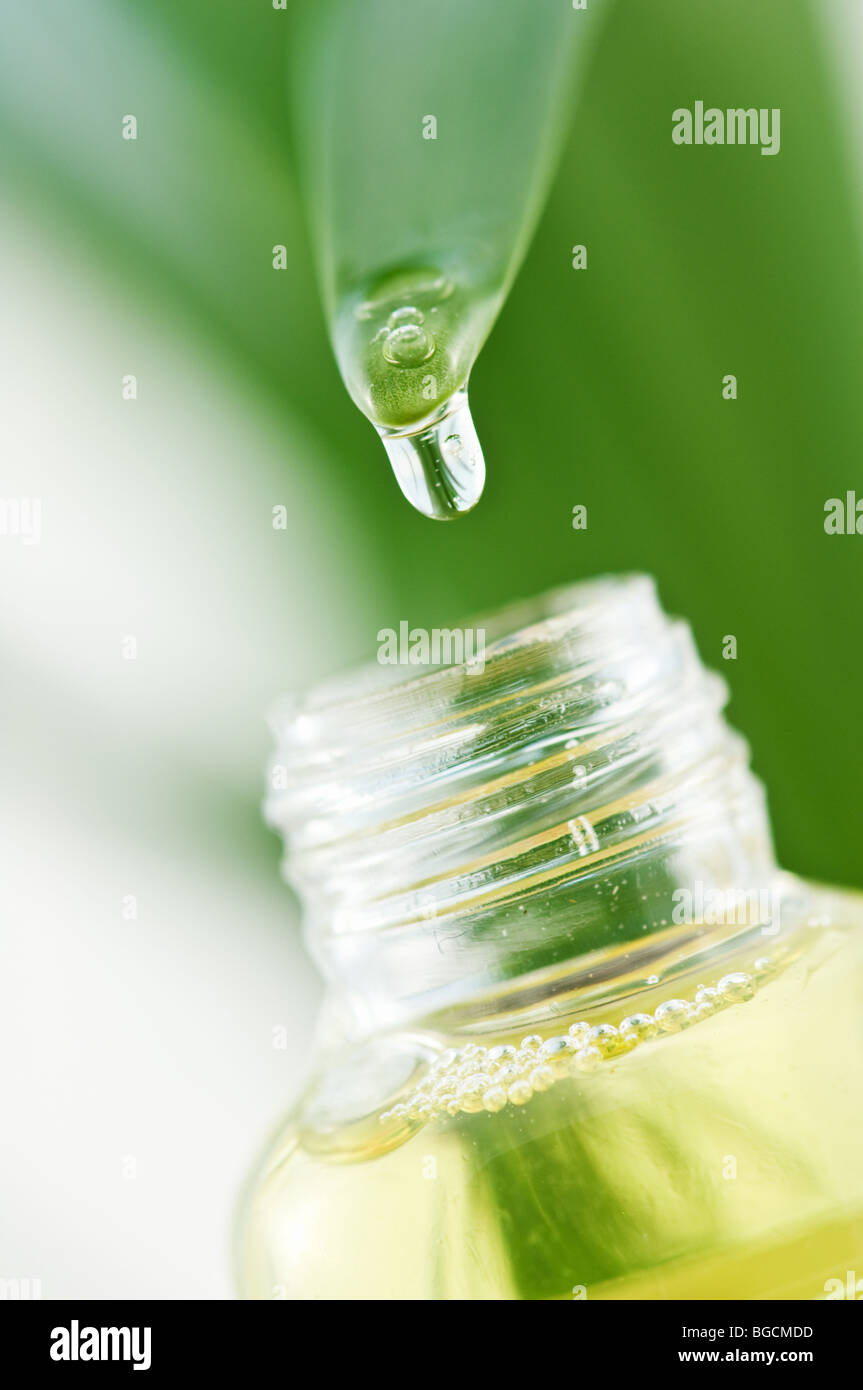 Gota de aceite herbal closeup Foto de stock