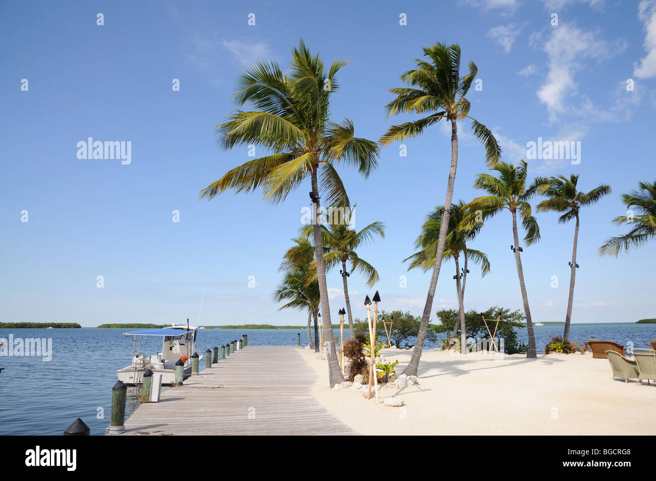 Embarcadero y palmeras en Florida Keys Foto de stock