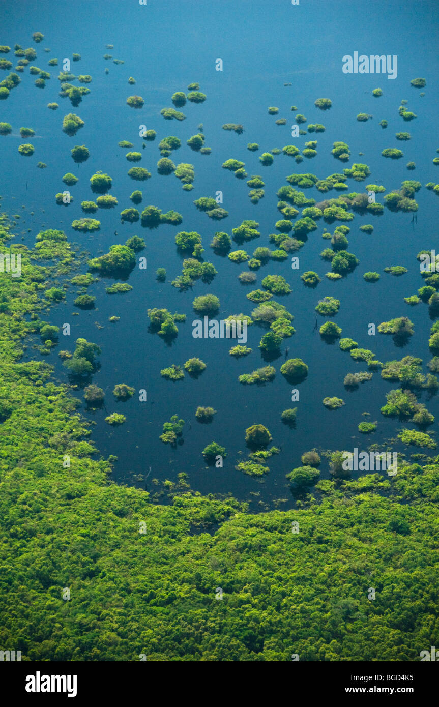 Bosque inundado, Anavilhanas Archipiélago, Río Negro. Antena de la Amazonia, Brasil Foto de stock