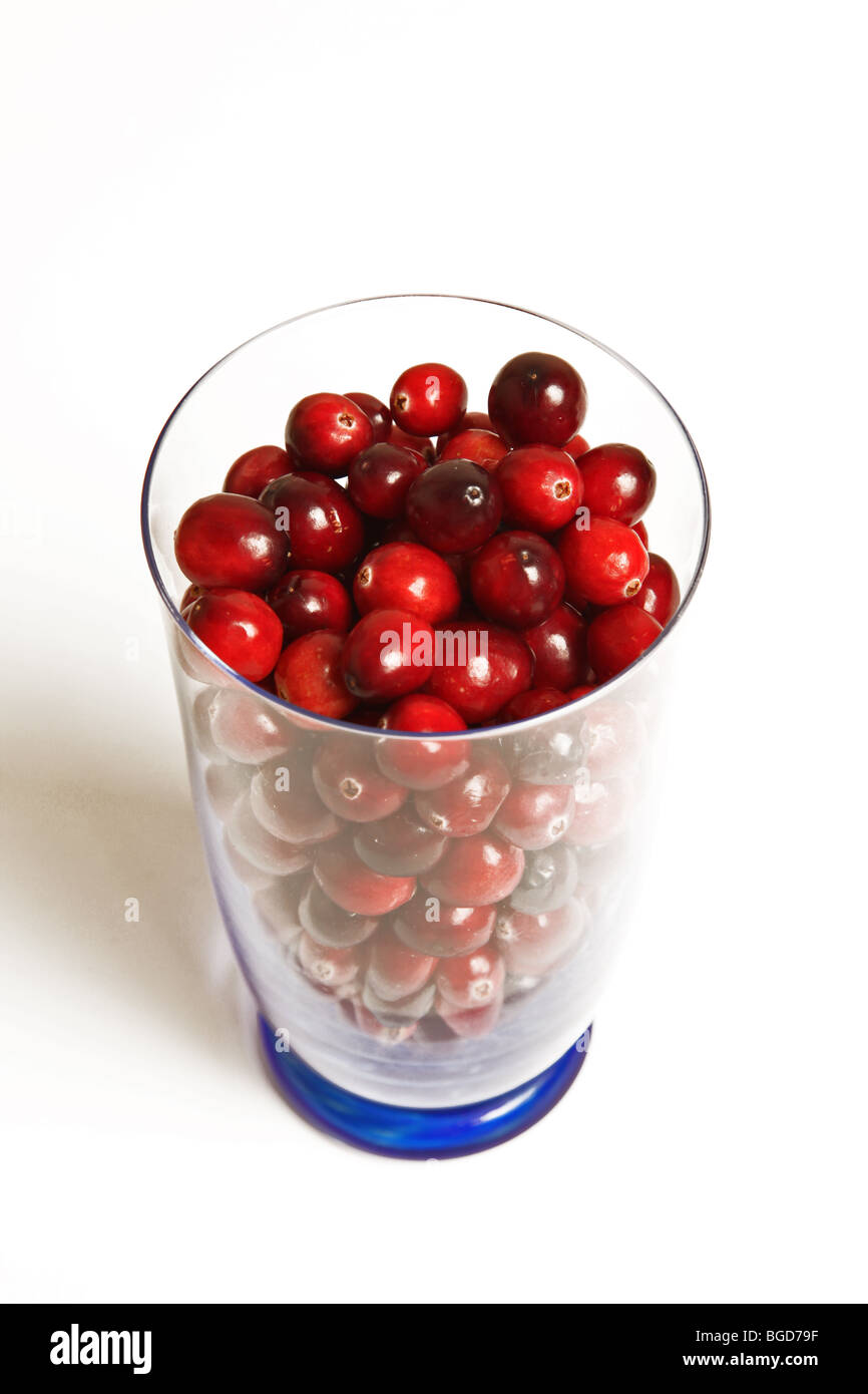 Las materias de arándanos rojos en un vaso Foto de stock
