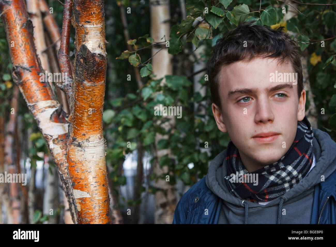 Un joven activista varón de 16 años que disparó contra los abedules Foto de stock