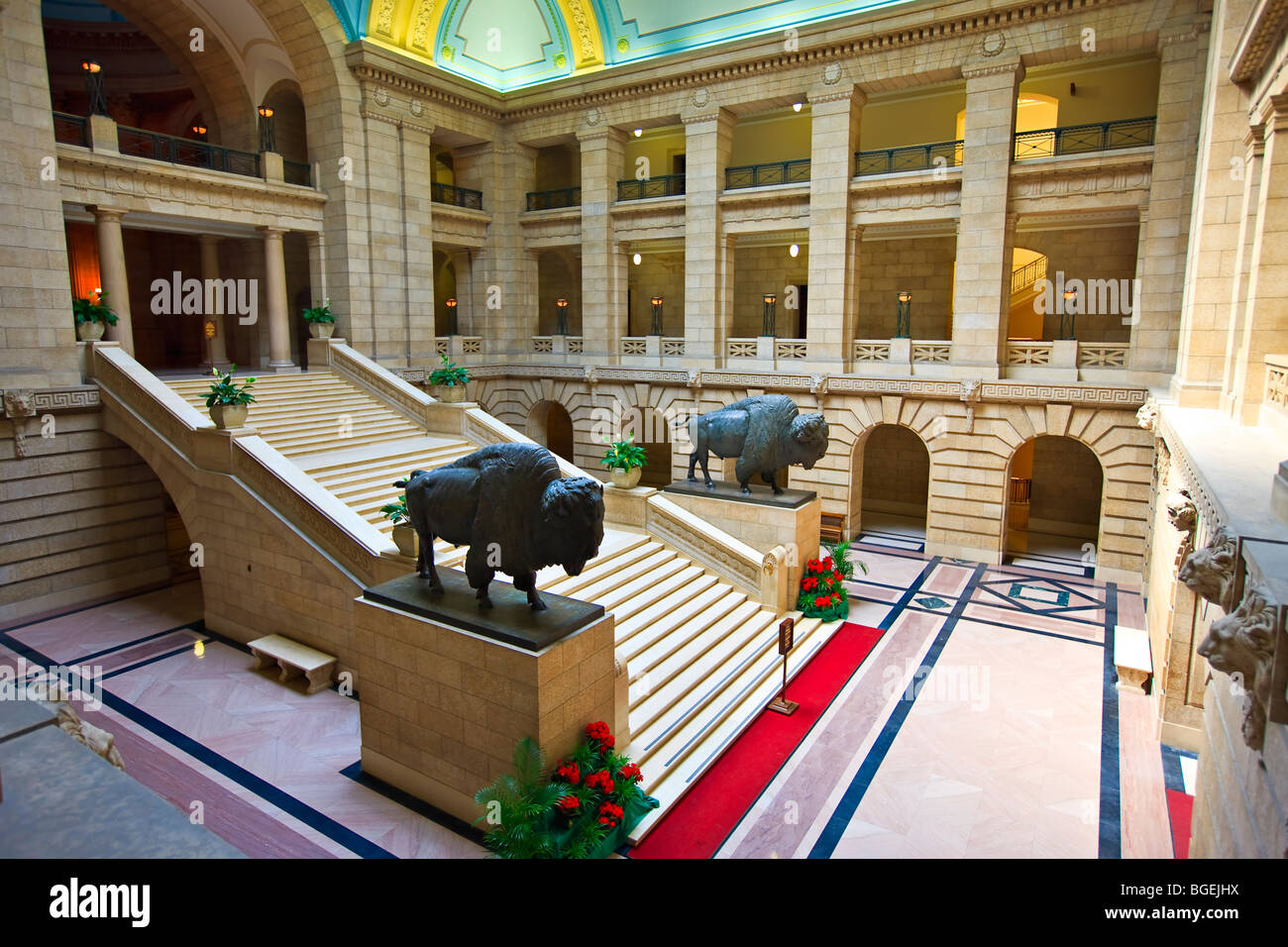 La gran escalera del edificio Legislativo, flanqueada a cada lado por estatuas de bronce de tamaño vida dos bisontes americanos del Norte, C Foto de stock