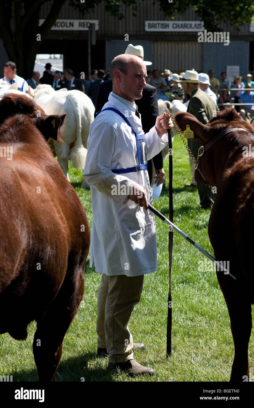 A juzgar ganador del premio ganado alrededor del Royal Norfolk Show en Norwich, en 2009. Foto de stock