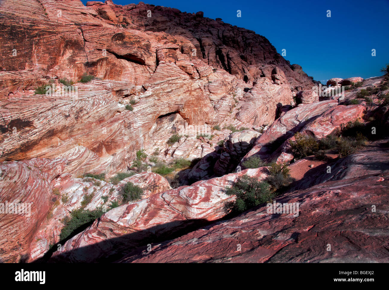 Formaciones rocosas en el Area de Conservación Nacional de Red Rock Canyon, Nevada Foto de stock
