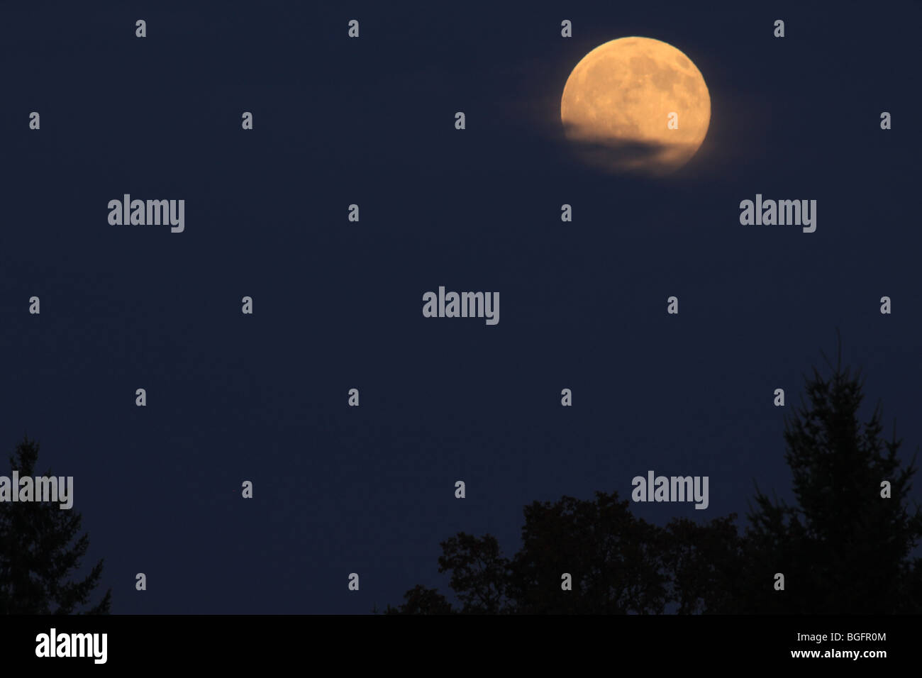 Luna llena con una ligera cubierta de nubes en las primeras horas de la noche Foto de stock