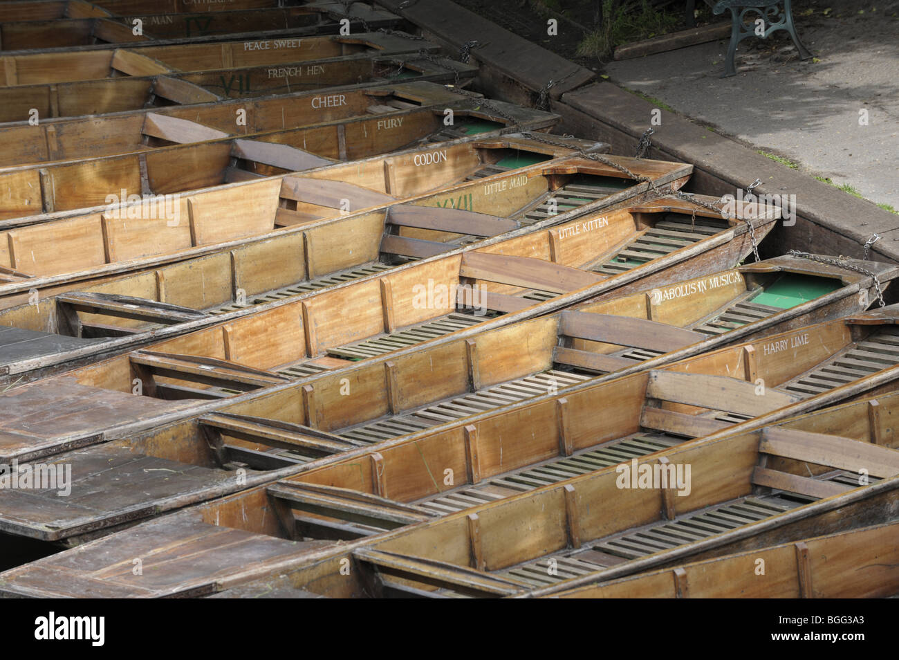 Punts, Cambridge, Inglaterra Foto de stock