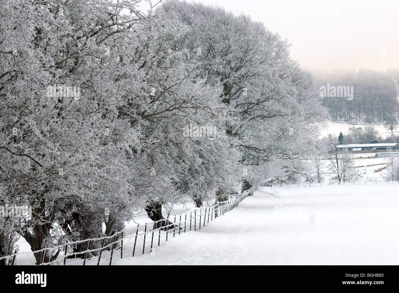 Un paisaje nevado escena en Perthshire, Escocia Foto de stock