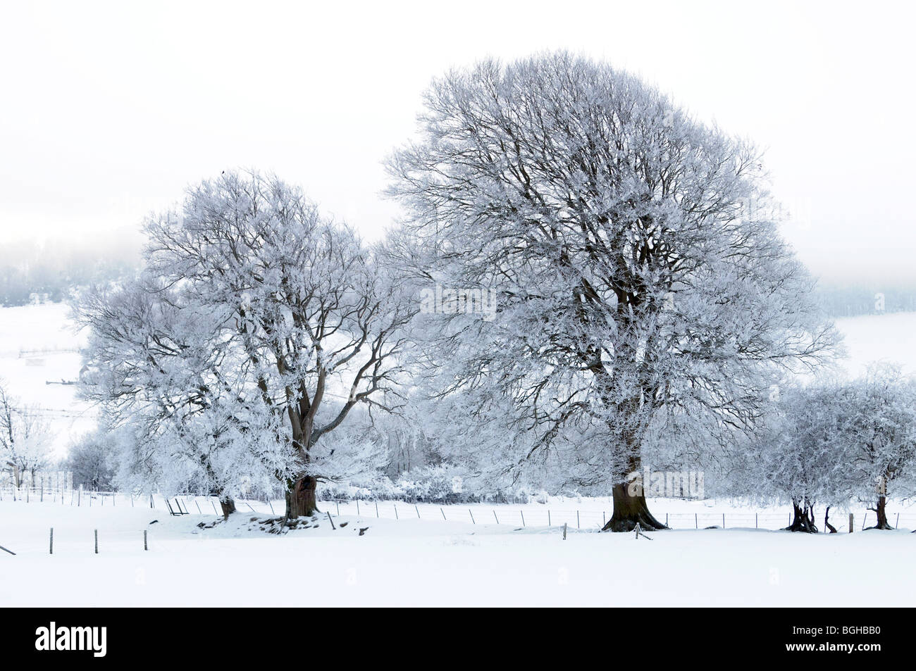 Un paisaje nevado escena en Perthshire, Escocia Foto de stock