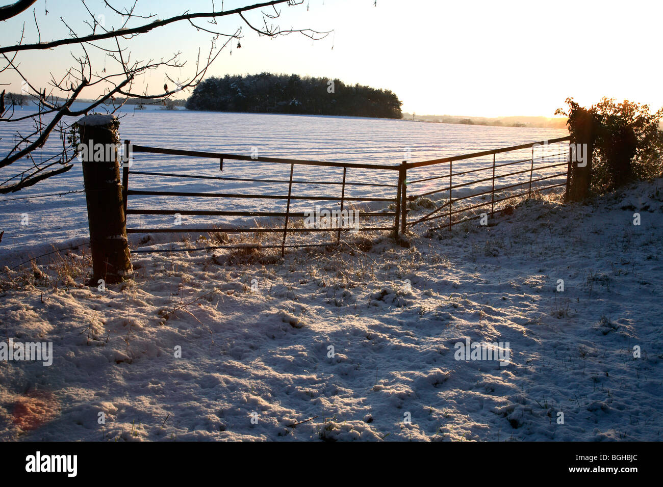 País gate y nieve en Norfolk UK. Foto de stock