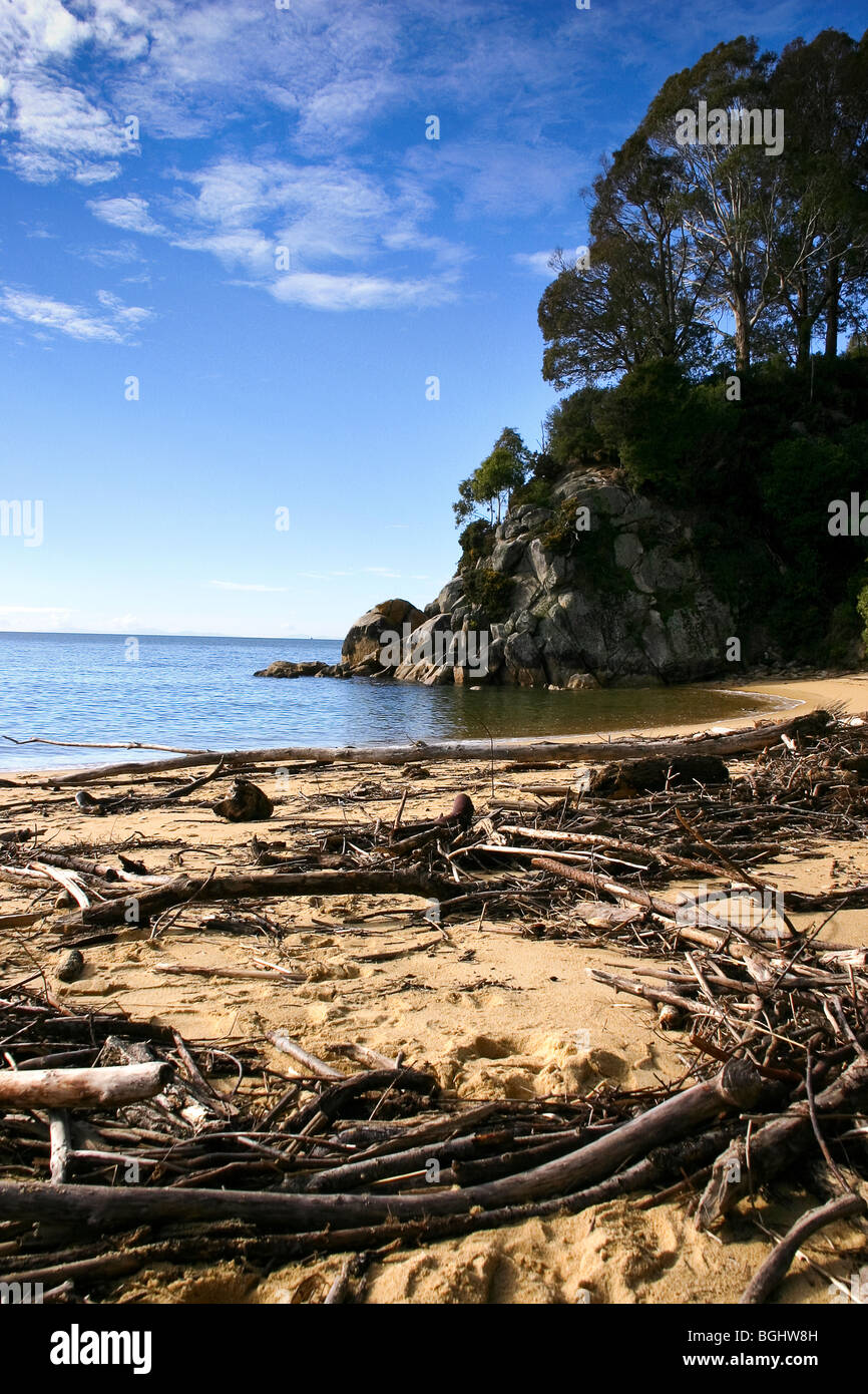 Driftwood en una playa de arena, con el cielo azul y las nubes Foto de stock