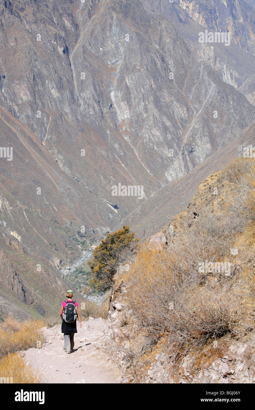 Mujer trekking en el Cañón del Colca del Perú Foto de stock