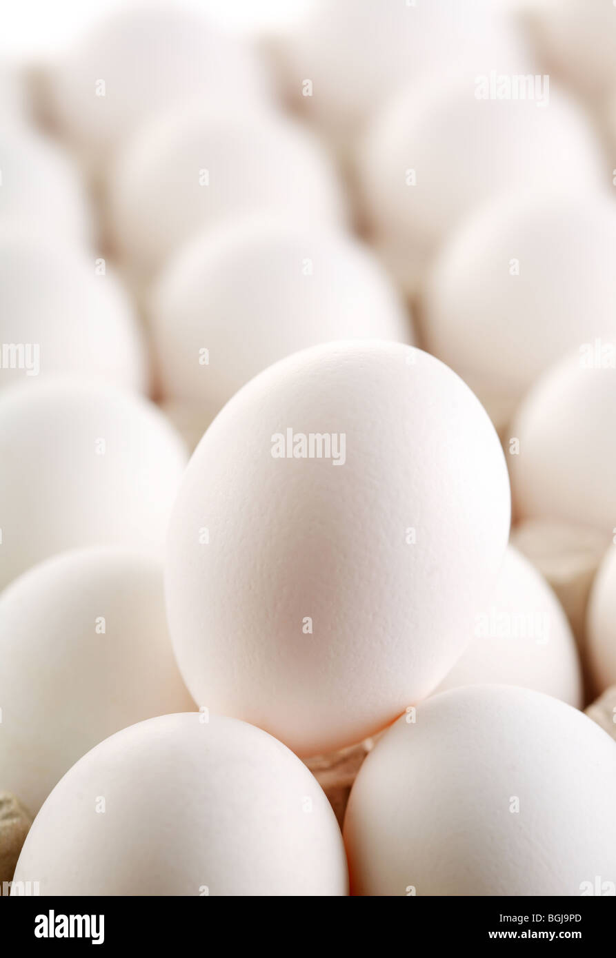 Huevo blanco grande de huevos. Foto de stock