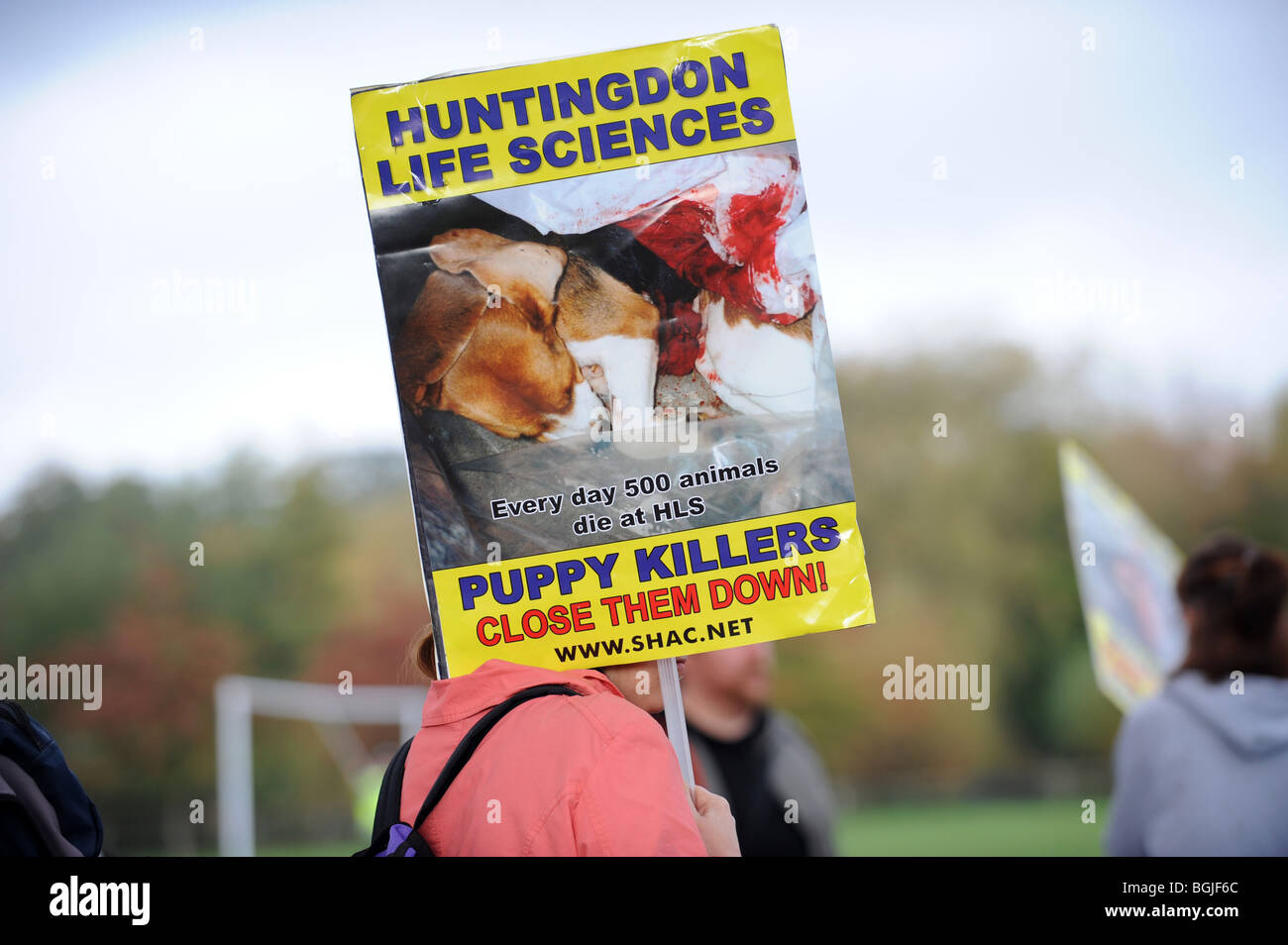 Los derechos de los animales los manifestantes en una demo en Horsham contra Novartis y Huntington Life Sciences Foto de stock