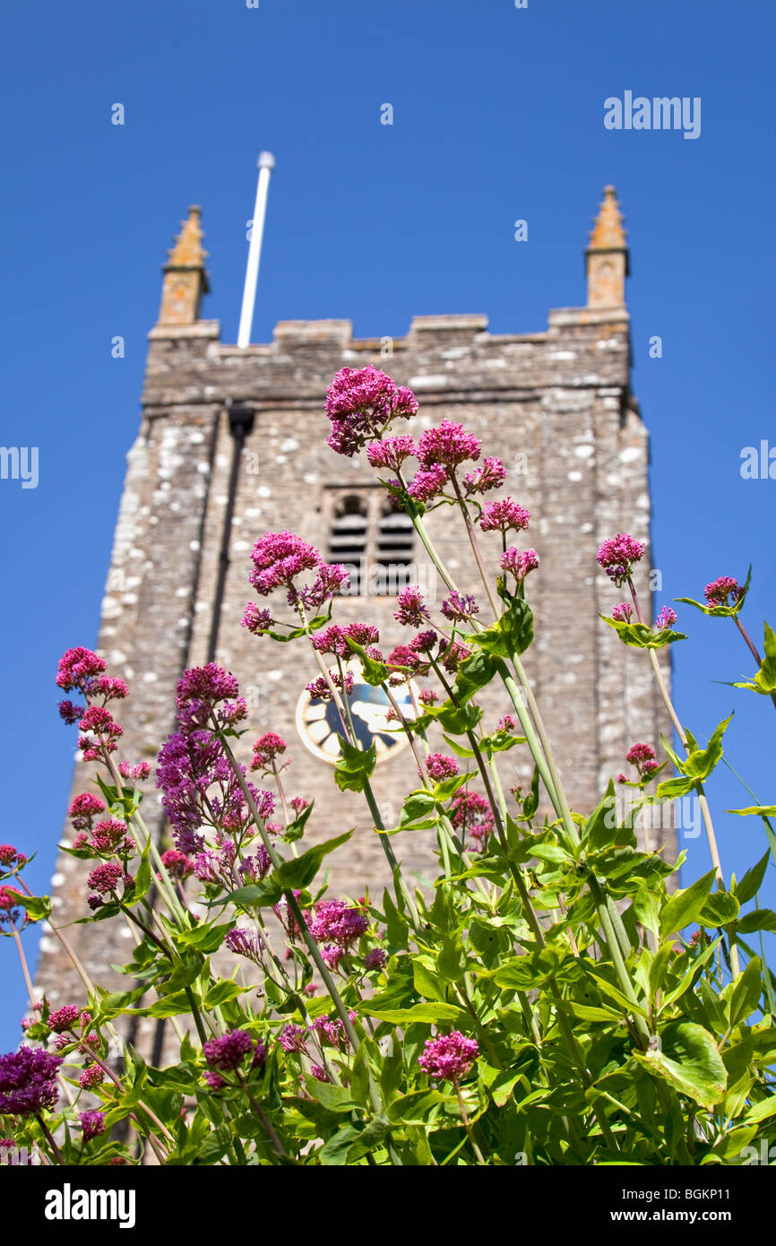 Iglesia de San Jorge con flores de primavera, Dittisham, South Hams, Devon, Inglaterra, REINO UNIDO Foto de stock