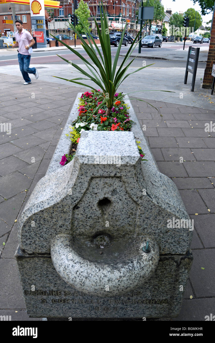 Antiguo abrevadero para animales ahora decorado con flores como ornamento, una calle en Twickenham, Middlesex, Inglaterra Foto de stock