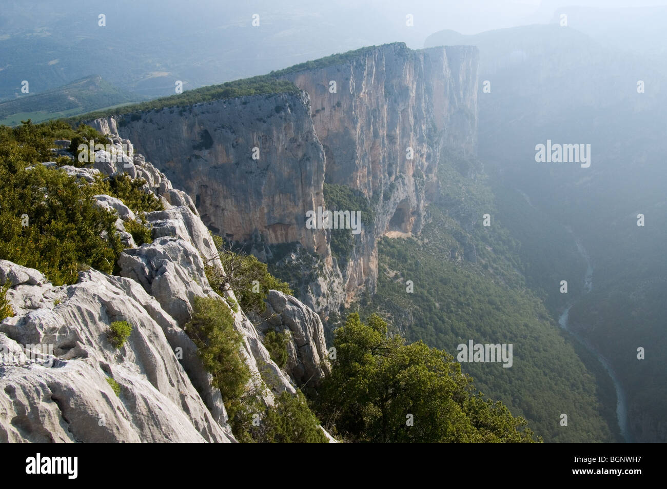Los escarpados acantilados de piedra caliza del cañón Gorges du Verdon / Verdon Gorge, Alpes-de-Haute-Provence, Provenza, Francia Foto de stock