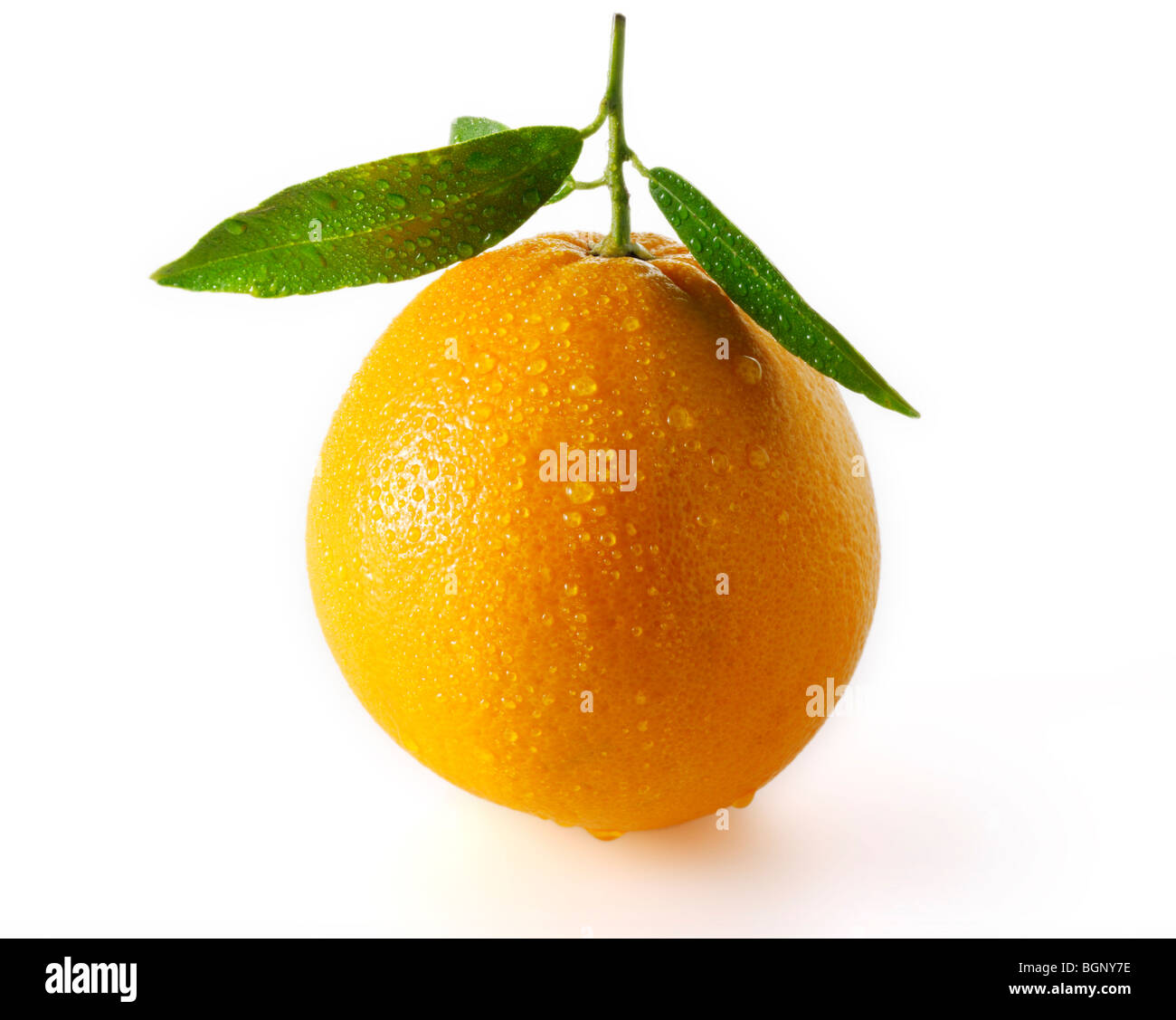 My Image 10