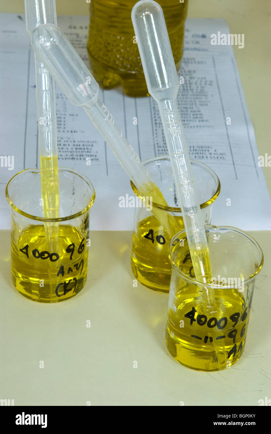 Formulario de calidad del aceite de oliva y contenedores con muestras Foto de stock