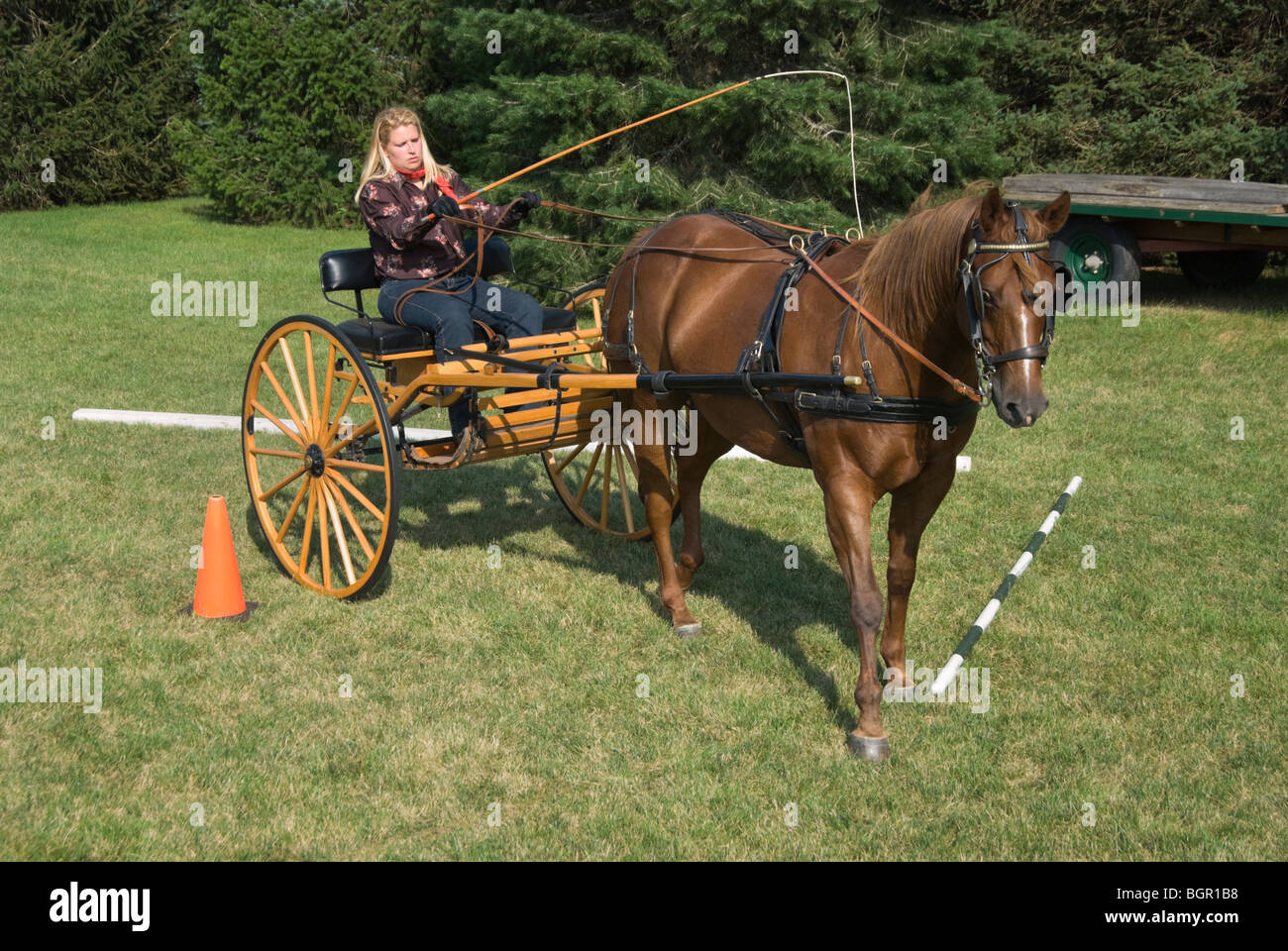 Stock Photo de una mujer convirtiendo un carro de caballos a través de un  curso de práctica de conos y barras Fotografía de stock - Alamy