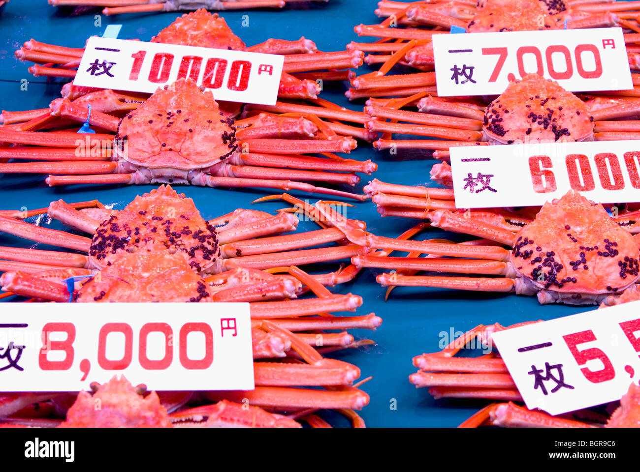 Los cangrejos para la venta en Japón. Foto de stock