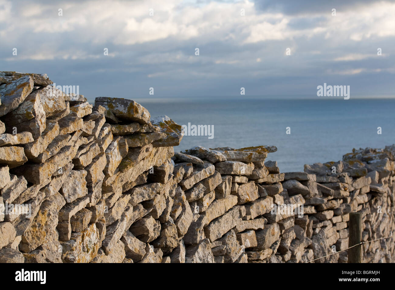 Muro de piedra seca junto al mar en la Isla de Purbeck, Dorset, Reino Unido Foto de stock