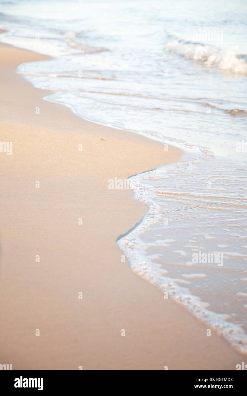 Suaves olas rompiendo contra un golden shore Foto de stock