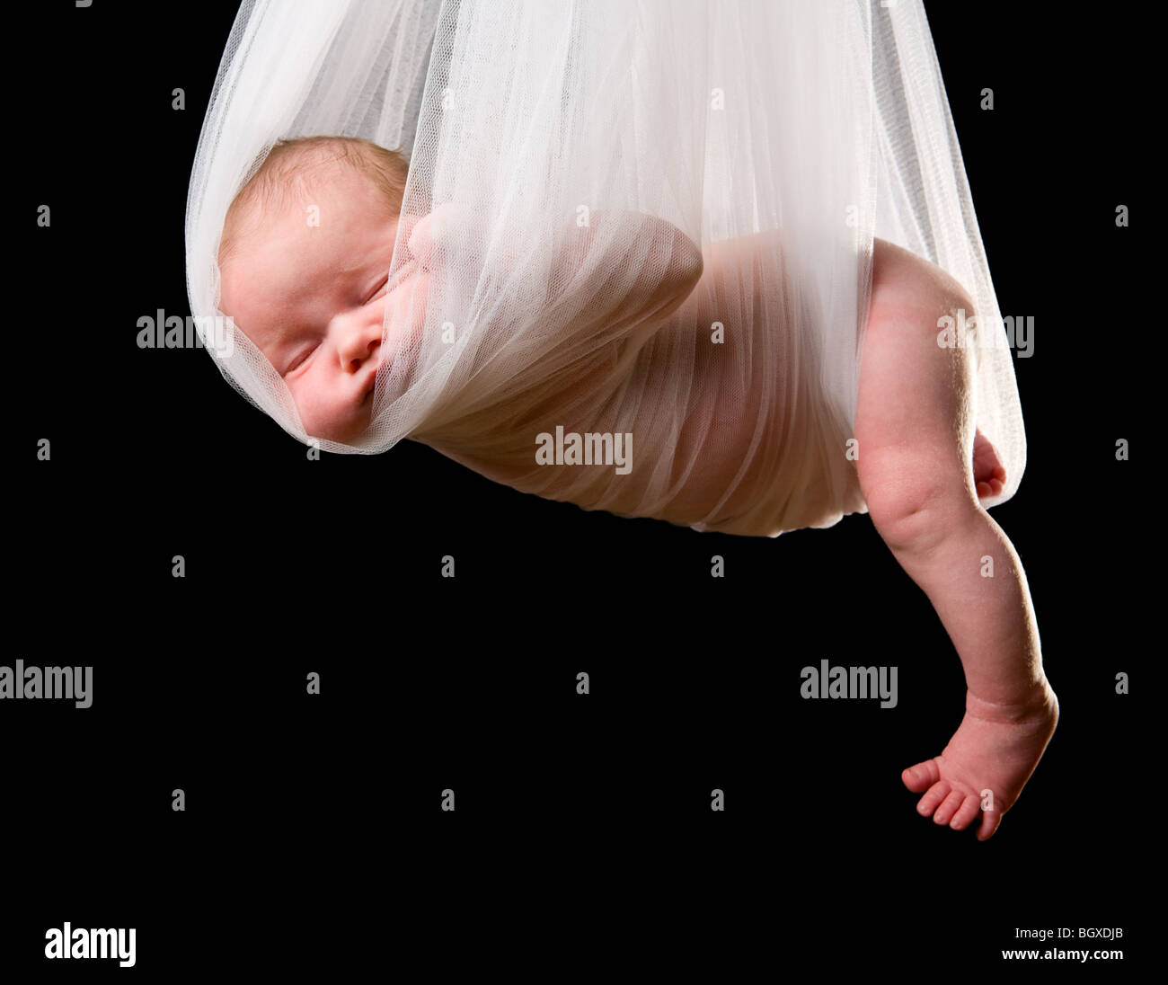 Stork Paquete de bebé Foto de stock