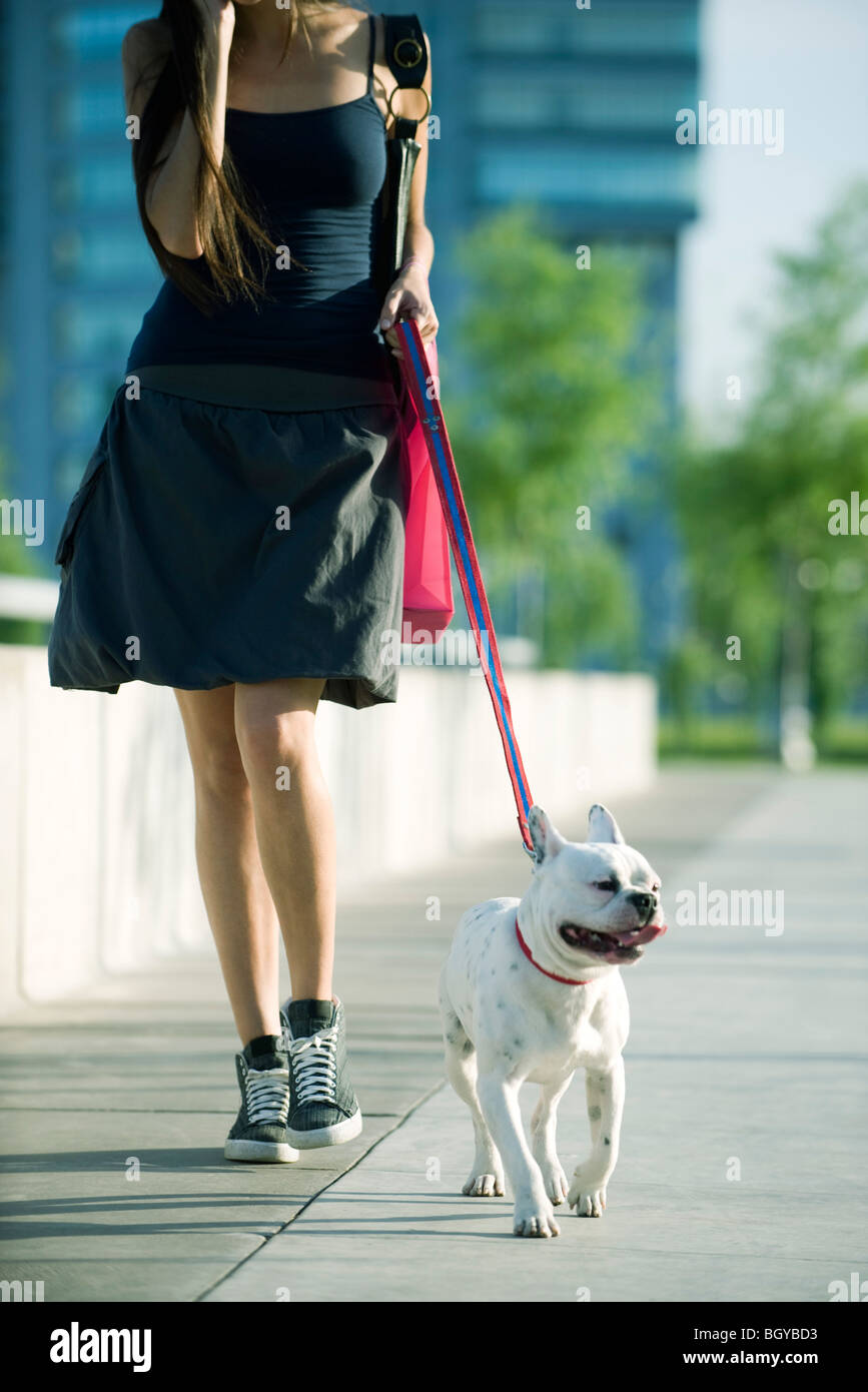Perro caminando fotografías e imágenes de alta resolución - Alamy