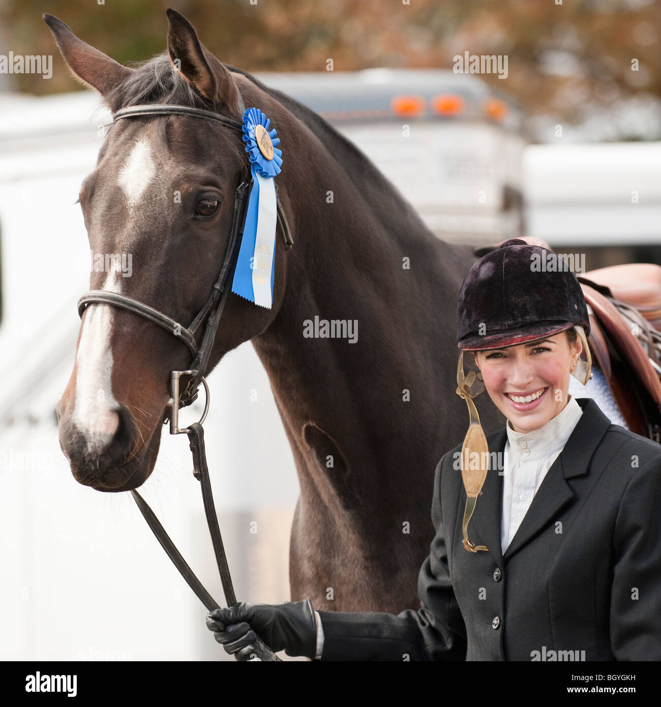 Cinta de desgaste de caballos Fotografía de stock - Alamy