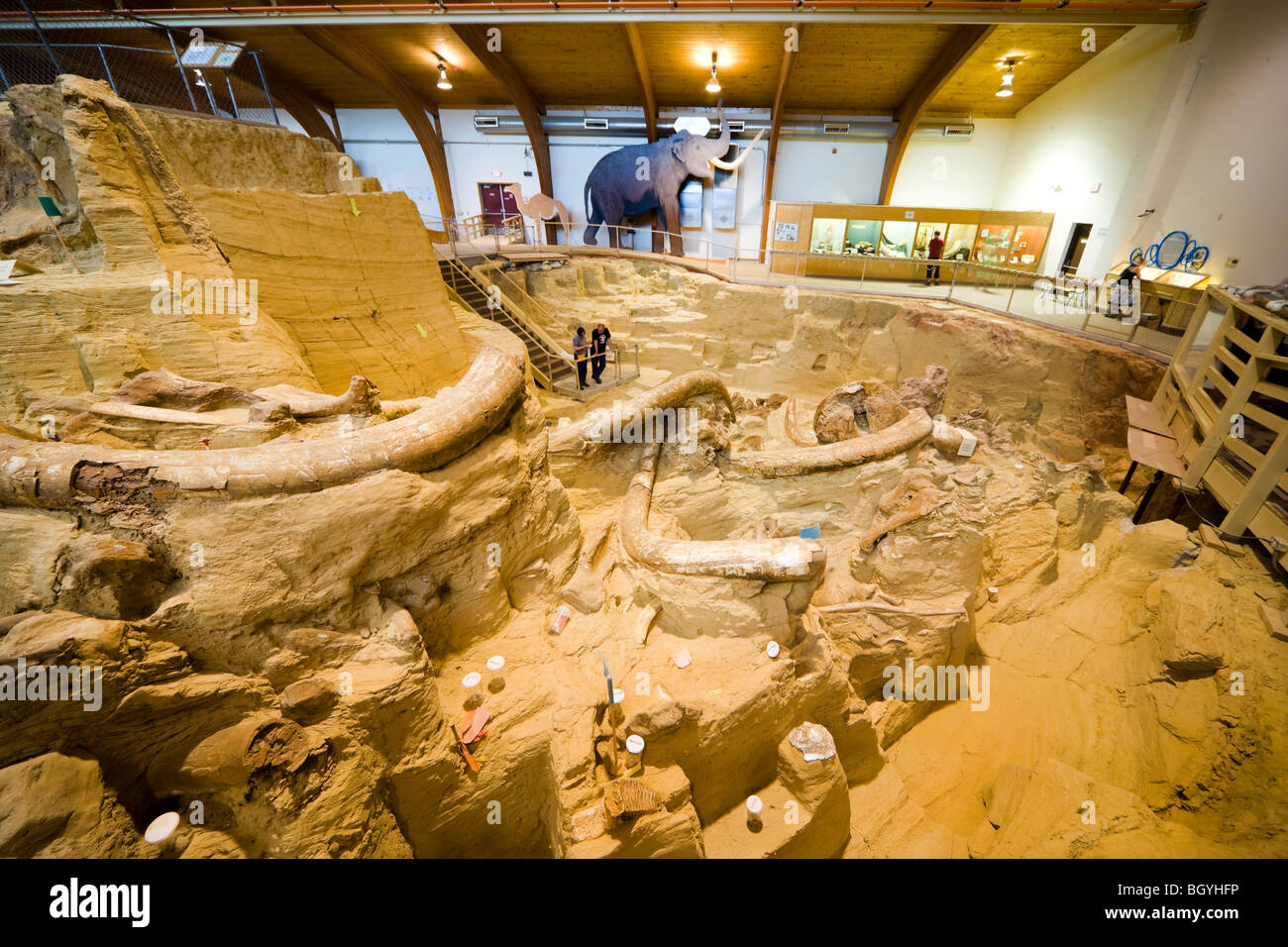 El museo de sitio, Mammoth Hot Springs SD. Visitantes que buscan en el bonebed con huesos de mamut colmillos fósiles en paleontología dig. Foto de stock