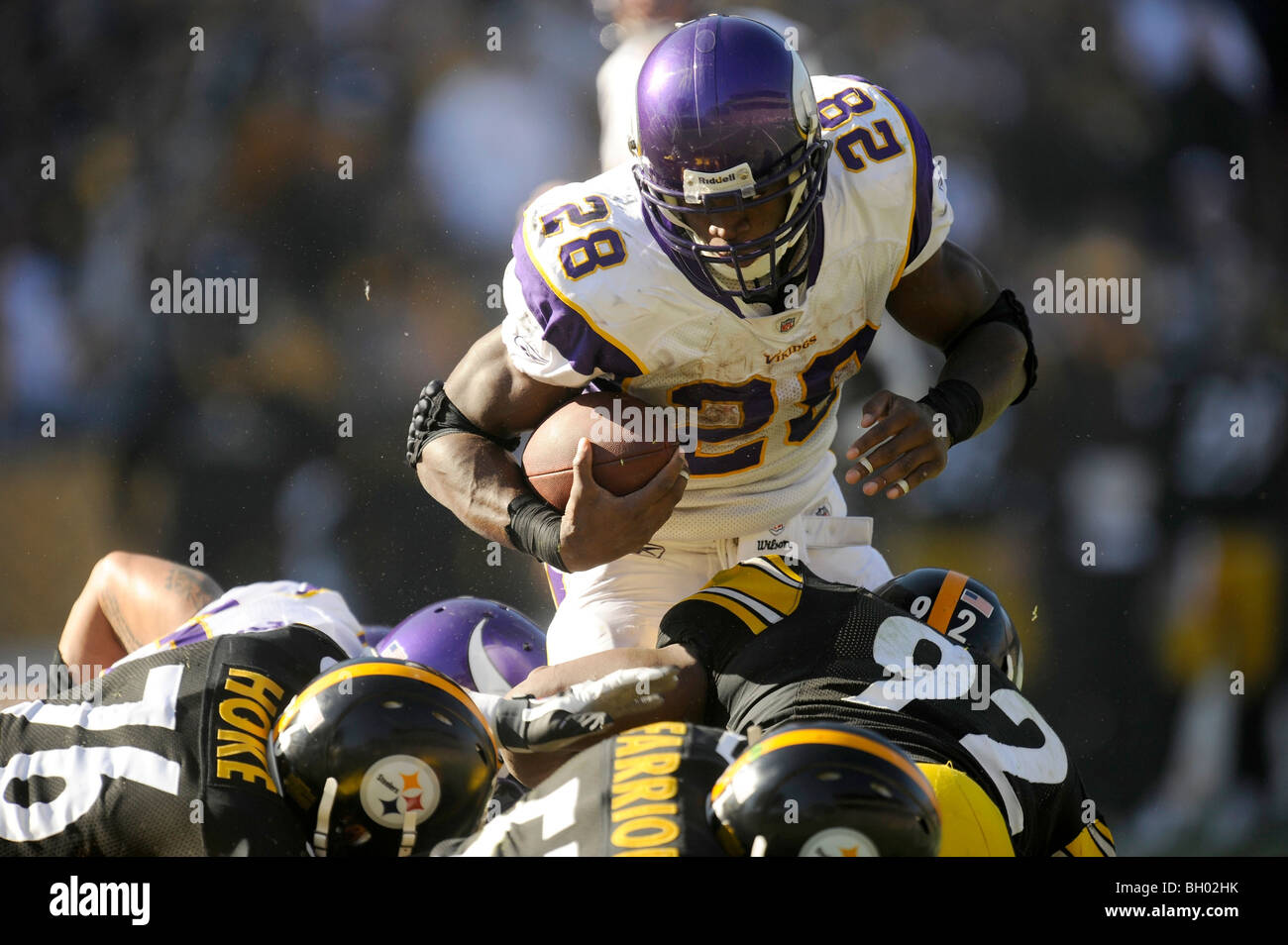 #28 Adrian Peterson de los Vikingos de Minnesota se detiene en la línea de gol Foto de stock