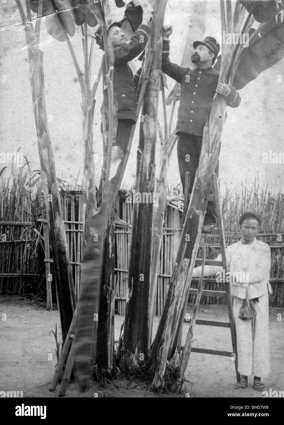 Dos soldados franceses que trabajan con un nativo vietnamita sujetando la escalera para ellos en Vietnam o Camboya circa 1900. Foto de stock