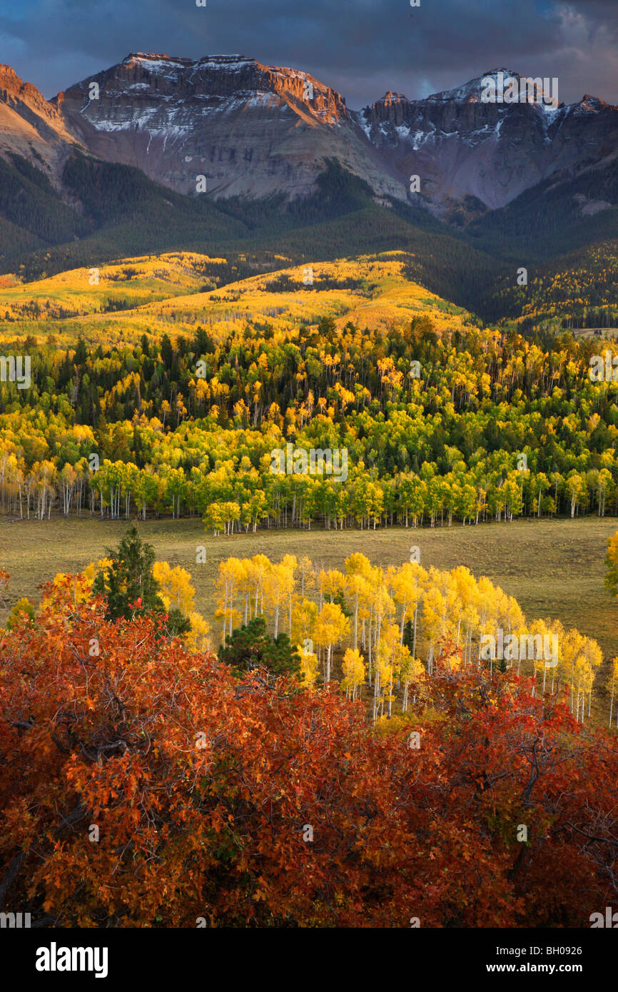 Los colores de otoño y el rango de Sneffels, montañas de San Juan, Colorado. Foto de stock