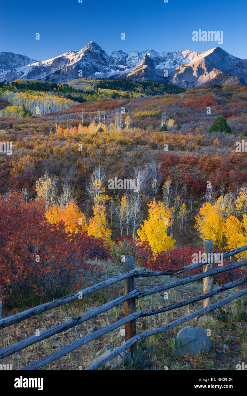 Los colores de otoño y el rango de Sneffels, Montañas San Juan, Dallas dividir, Colorado. Foto de stock