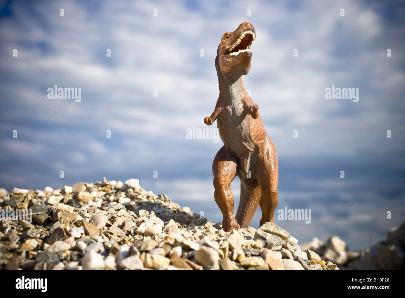 Tyrannosaurus rex juguete delante de cielo nublado Foto de stock