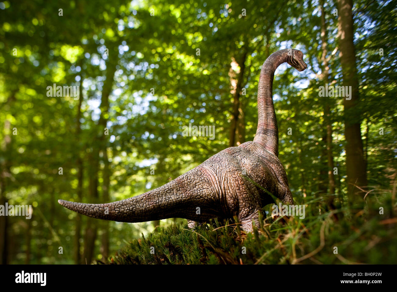 Brachiosaurus juguete delante de árboles caducifolios Foto de stock