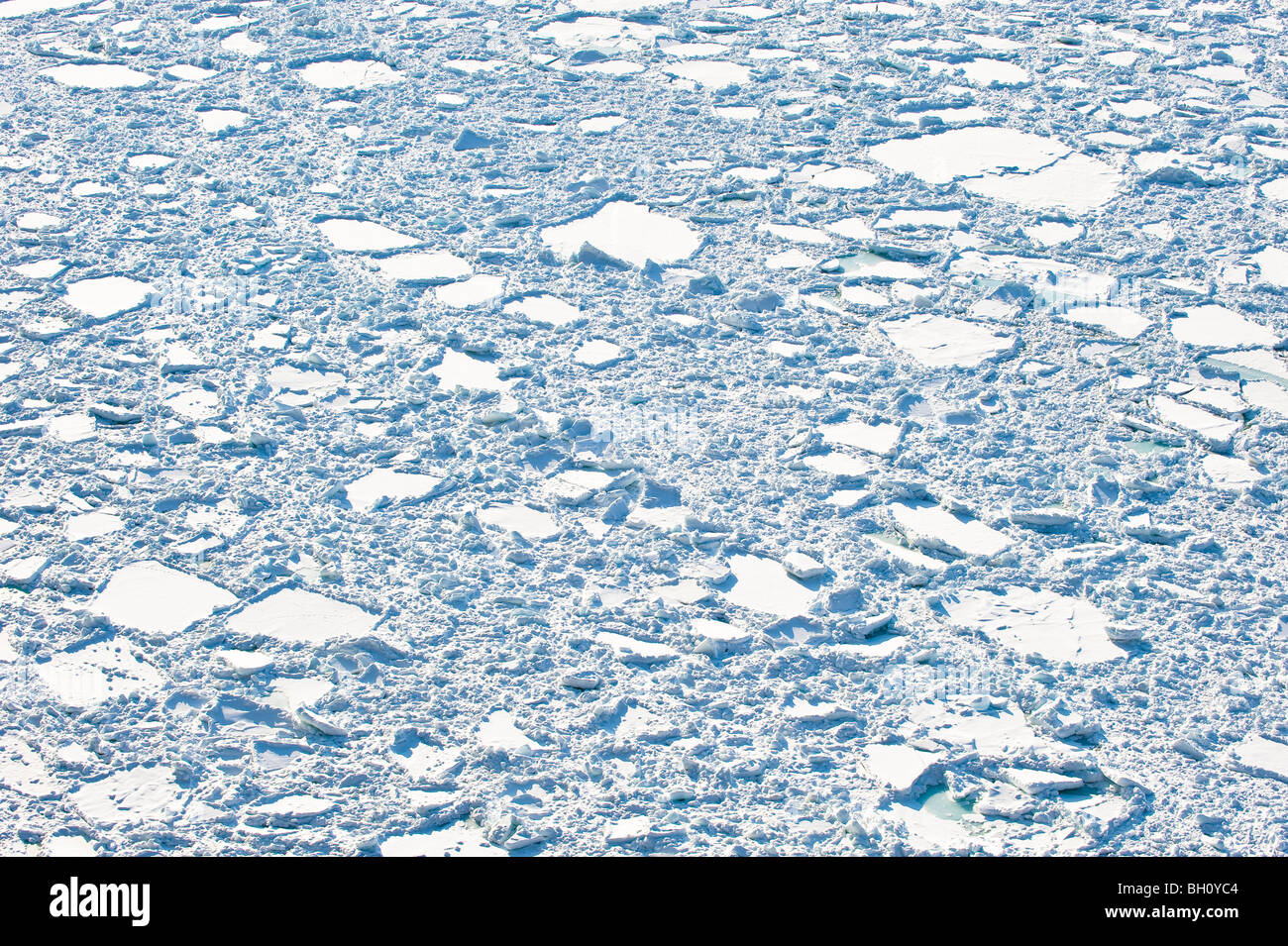 Témpanos de hielo sobre el océano Pacífico en la luz del sol, en Hokkaido, Japón, Asia Foto de stock