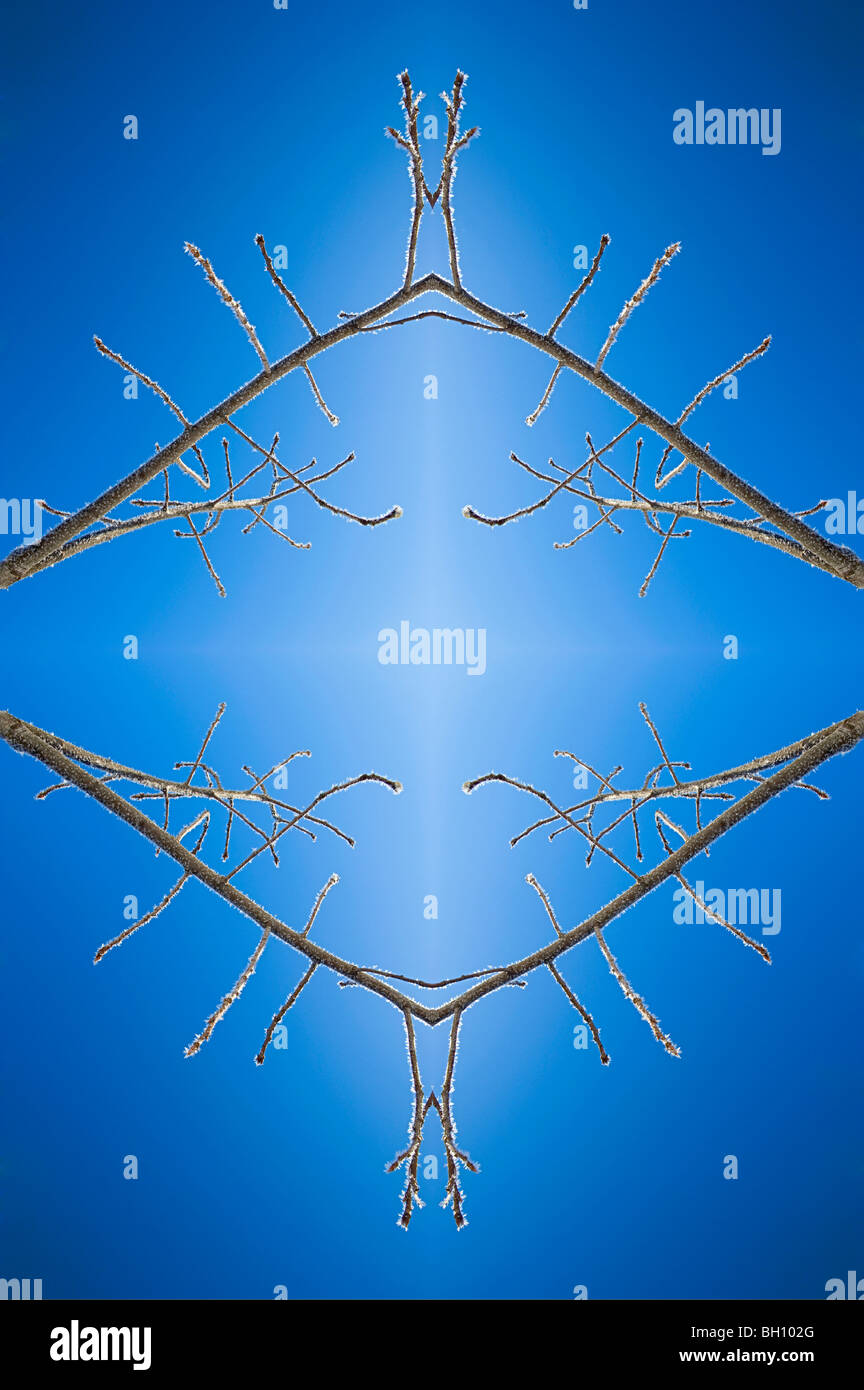 Esta es una imagen de una rama cubierto con hielo hecha para enmarcar una cruz blanca a través de técnicas de Photoshop. Foto de stock