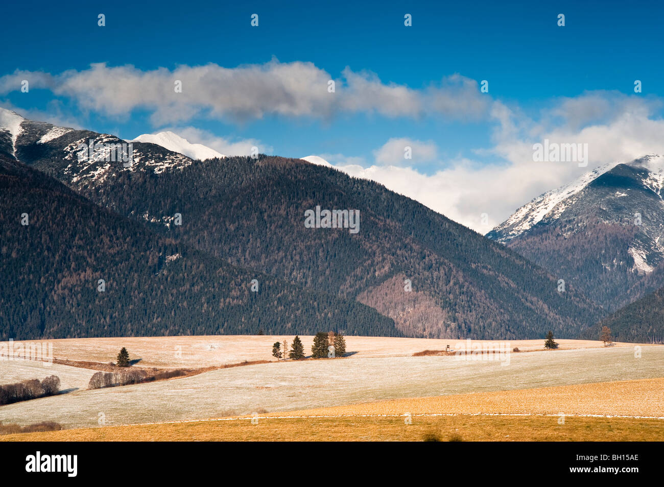 Los campos de invierno y montañas en Liptov, Eslovaquia Foto de stock