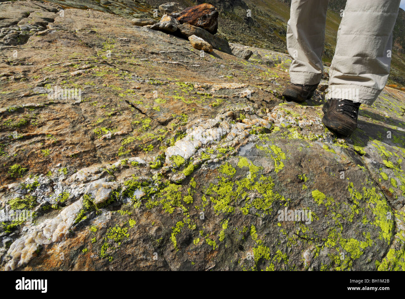 Persona de pie sobre una losa con cuarzo dique, Alpes Stubai Stubai, Tirol, Austria Foto de stock